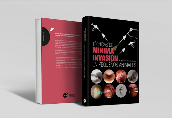 Técnicas de mínima invasión en pequeños animales -Libros de referencia veterinaria