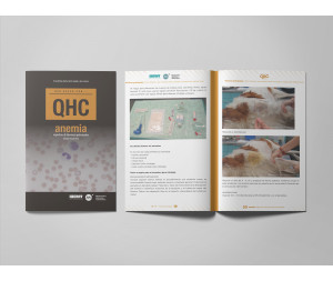 Revista QHC Anemia