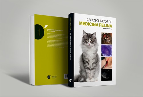 Casos clínicos de medicina felina -Medicina felina veterinaria