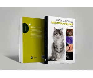 Casos clínicos de medicina felina