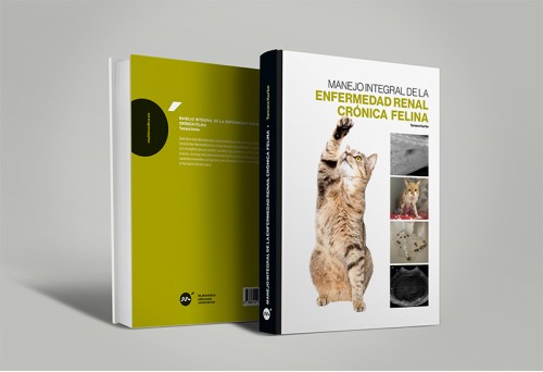 Manejo integral de la enfermedad renal crónica felina -Medicina felina veterinaria