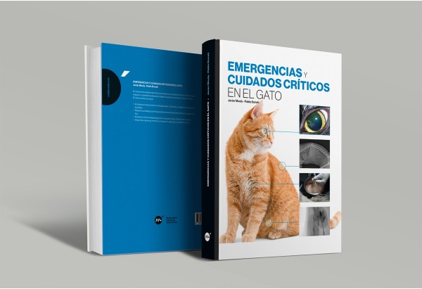 Emergencias y cuidados críticos en el gato -Urgencias veterinaria