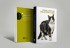 Manual del clínico del dolor en el gato -Medicina felina veterinaria